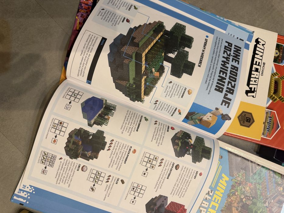 Zestaw książek Minecraft
