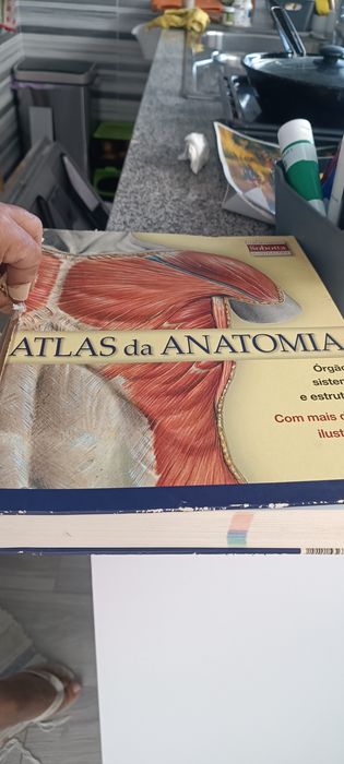 Vendo atlas de anatomia