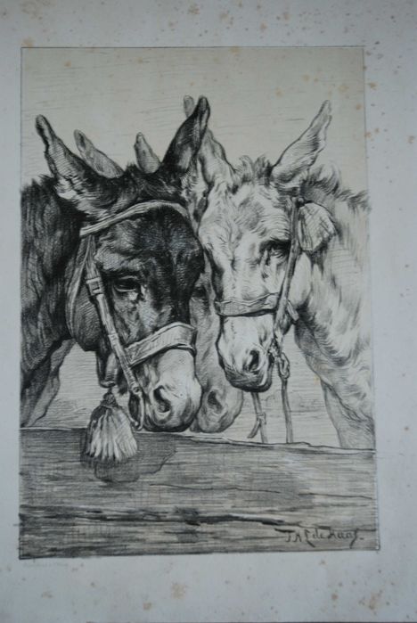 Estampa com cavalos