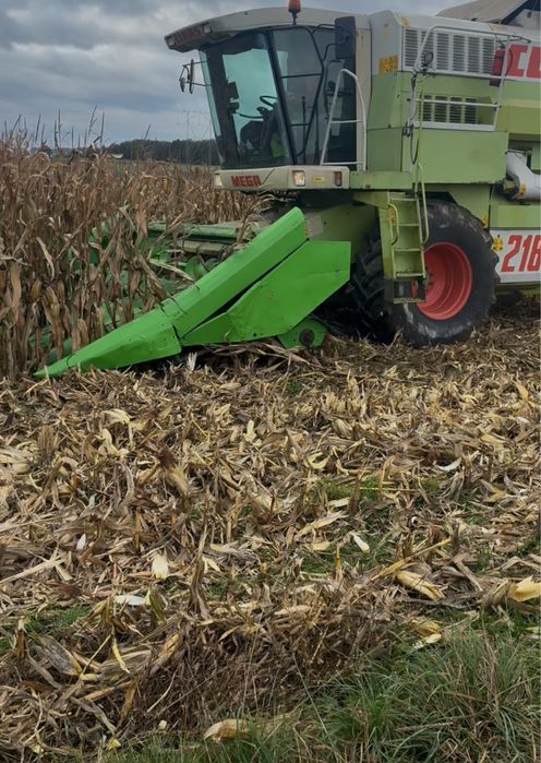 Przystawka do kukurydzy claas 6x75