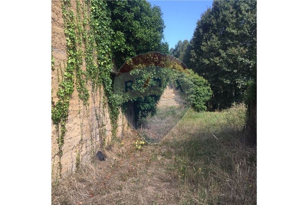 Terreno  para venda — S. Lourenço Do Bairro, Aveiro