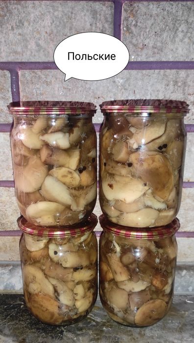 Маринованные грибы " Рядовка( тополевая),Маслята,Польские, зеленушки