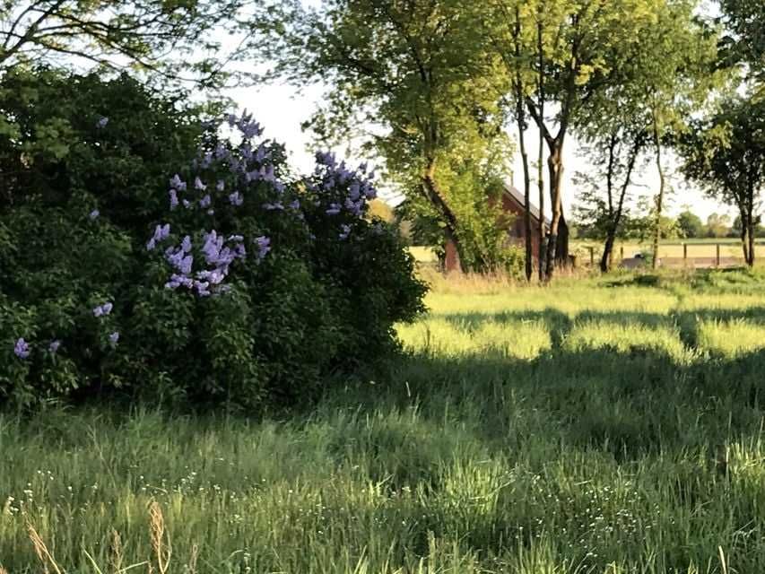 Duża działka z prawem zabudowy na sprzedaż ok.Konina