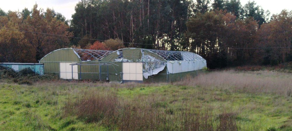 Estrutura de estufa e contentor marítimo