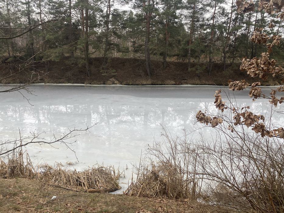Земля в Свидівку з виходом до каналу