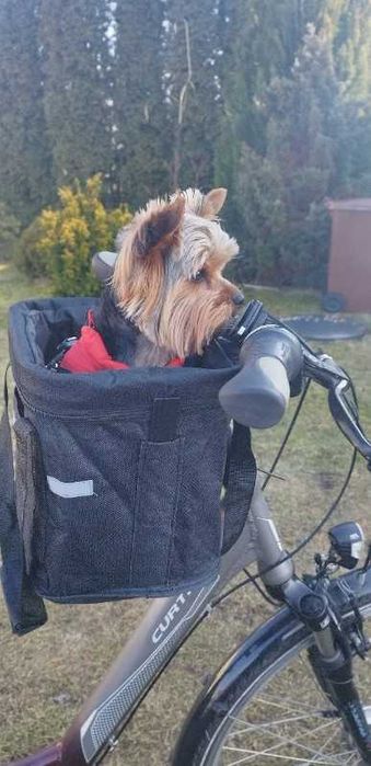 Transporter psa kota na rower kosz rowerowy duży pojemny