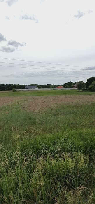 Sprzedam działkę gmina Łabiszyn - Widok 4