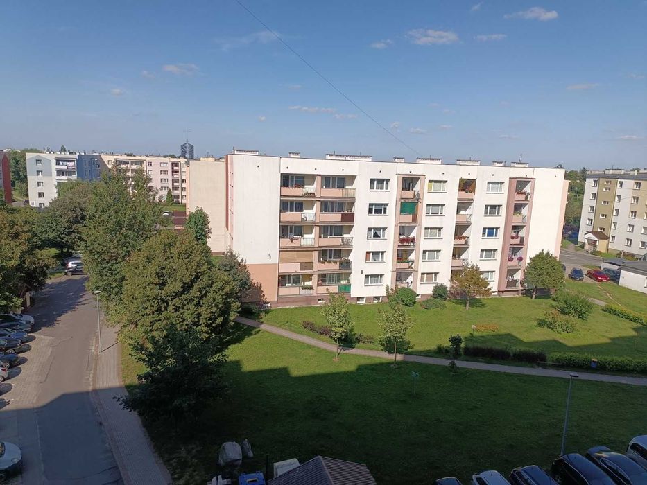 Zdjęcie 8