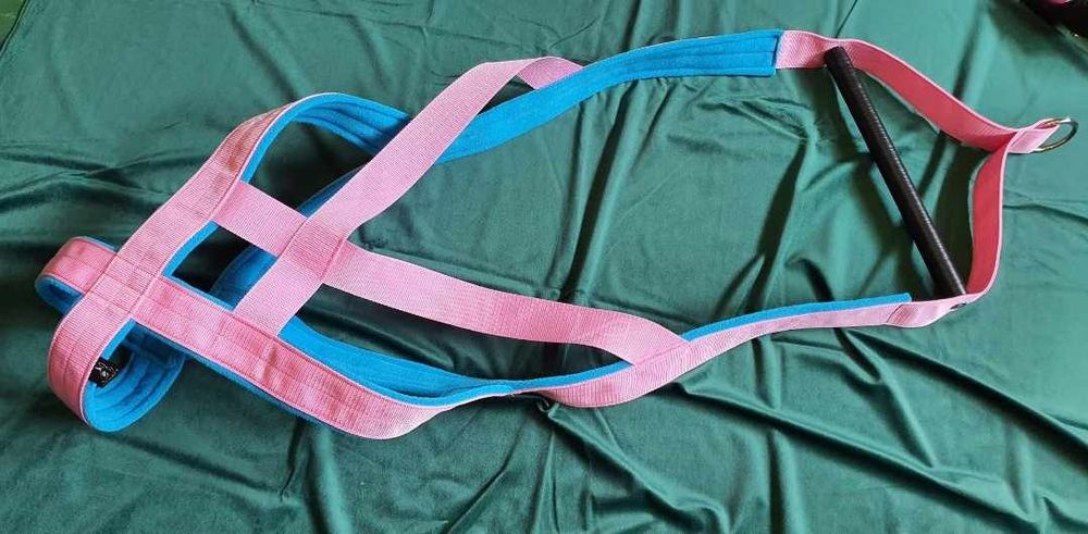 Szelki wp Weight Pulling amstaff pitbull