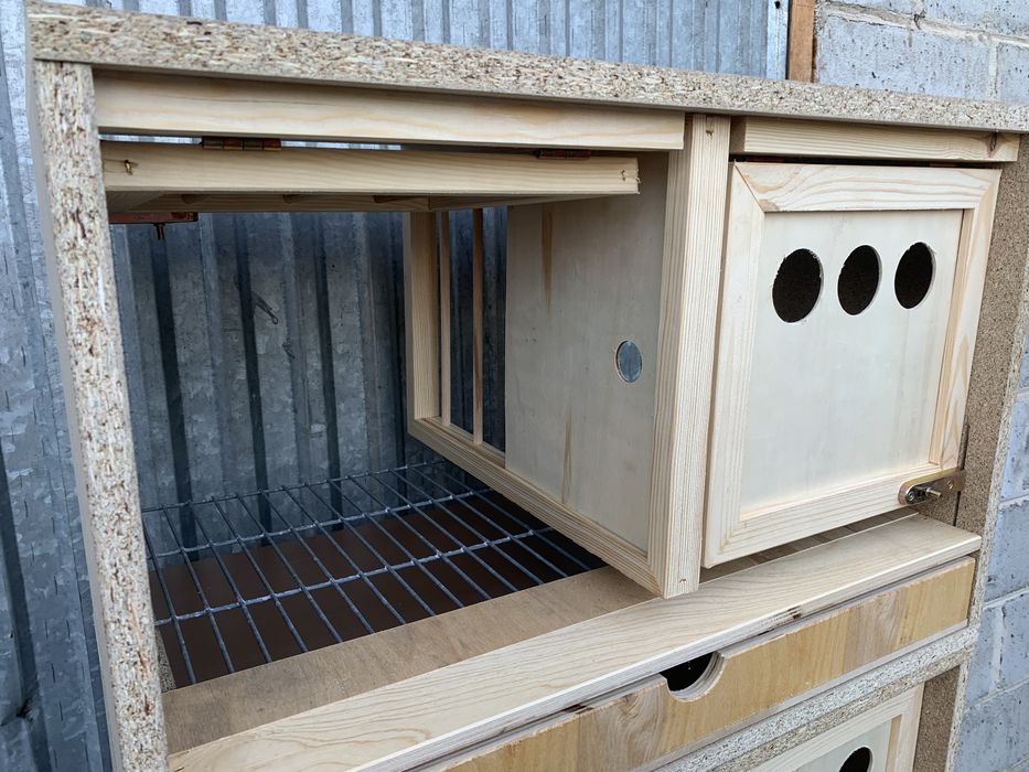 Cela motywacyjna legowa dla gołębi