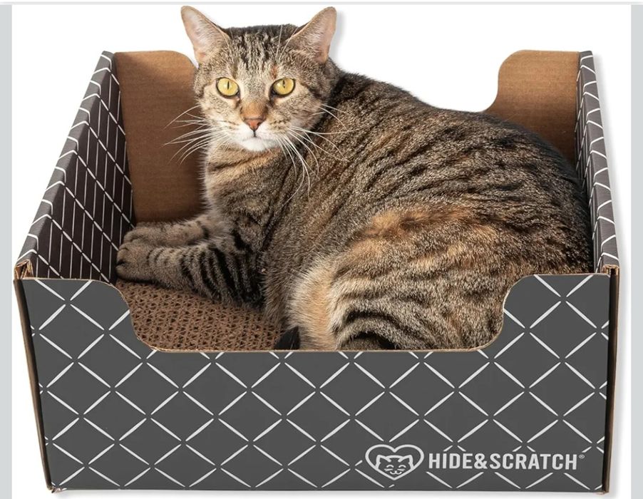 Hide& Scratch: Duży drapak dla kota z leżanką kartonową