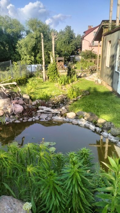 Osada Jelonkowo domki całoroczne z jacuzzi ogrodowym nr ewidencji 2/2026