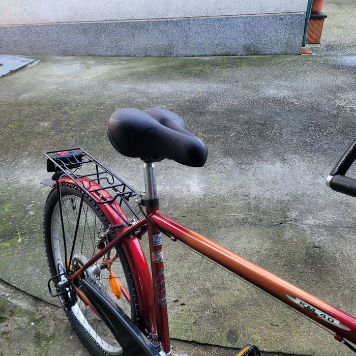 Bicicleta para adultos