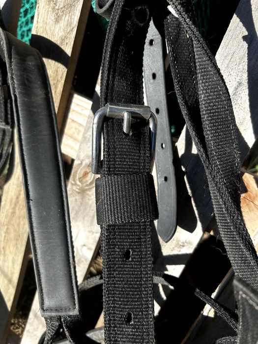 charete de 1 eixo para burro grande ou Mula / cavalo ate 155cm + Arreios sintheticos de Sieltec