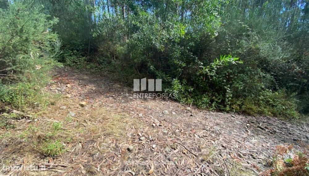 Venda de terreno com 4992 m2, Castelo do Neiva, Viana do Castelo — Neiva, Viana do Castelo