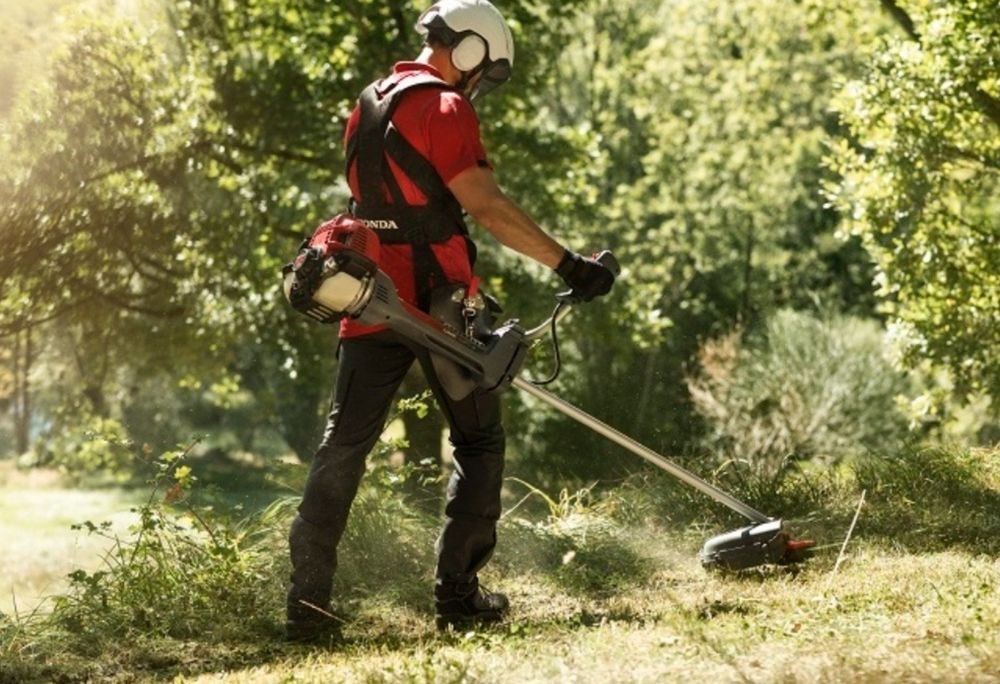 Wycinka Drzew, pielęgnacja, koszenie