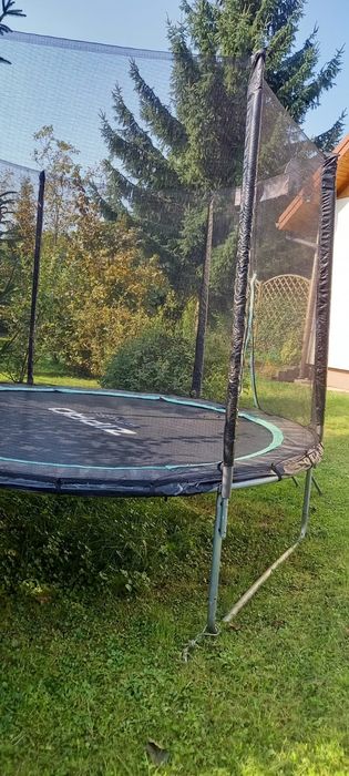 Trampolina Zippo Fitness