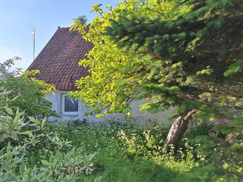 Sprzedam działkę 819 m² z domem – Kiwity k. Lidzbarka Warmińskiego – další