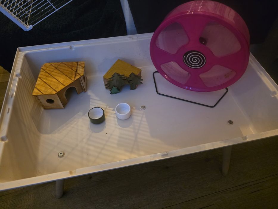 Mega klatka dla chomika czy królika