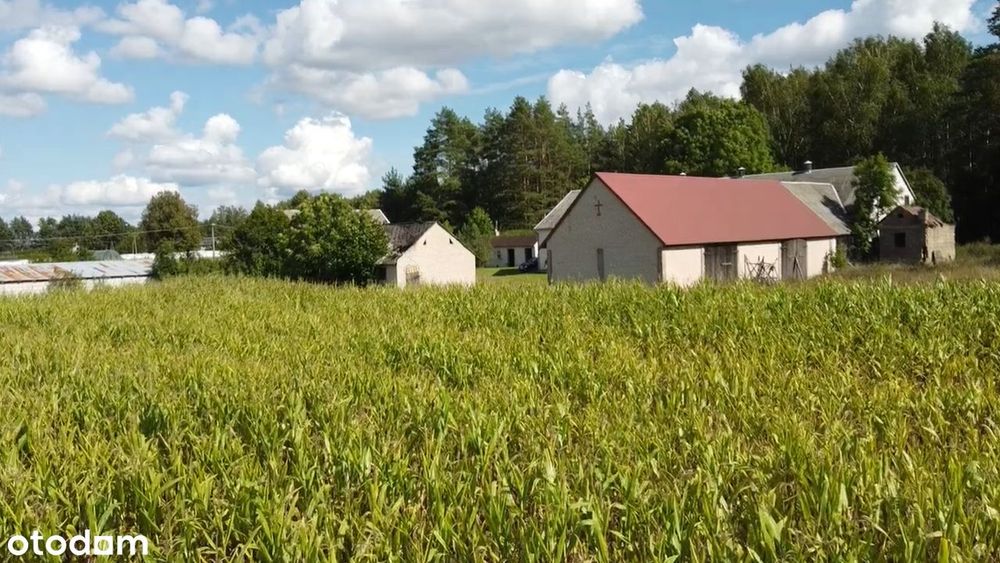 Siedlisko Na Podlasiu | 1,28 Ha| Dom + Zabudowania | Las Obok | M.huta