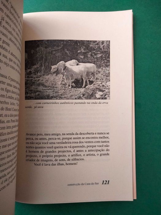 Construção da Casa do Ser - Manuel Nemésio