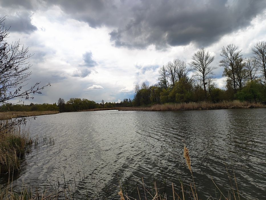 Продам будинок в селі Дулицьке Білоцерківського району