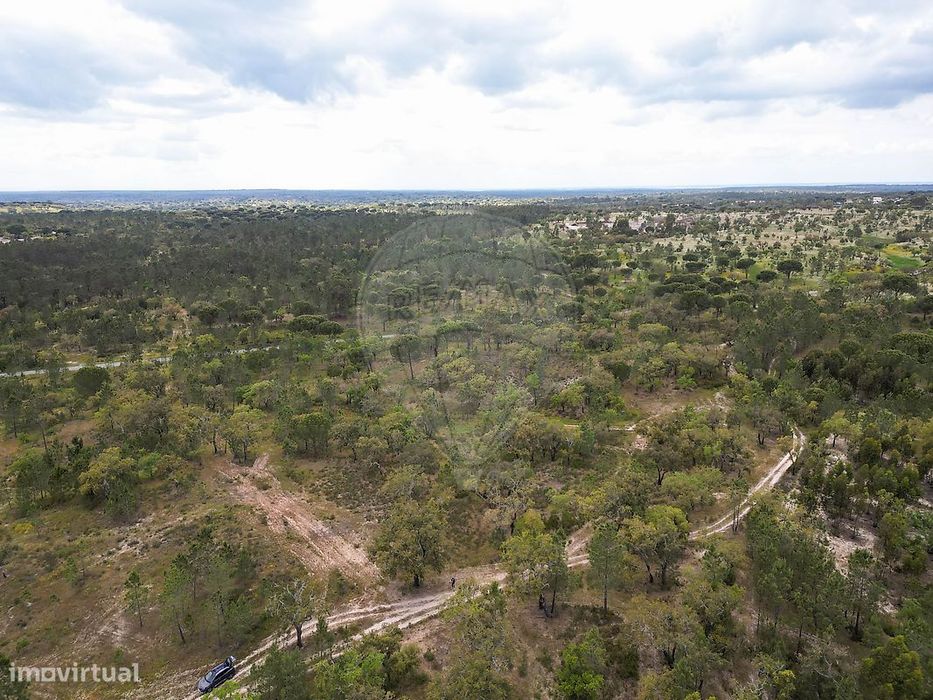 Terreno  para venda