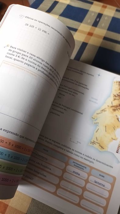 Férias 8-9 Anos - Atividades e Aventuras