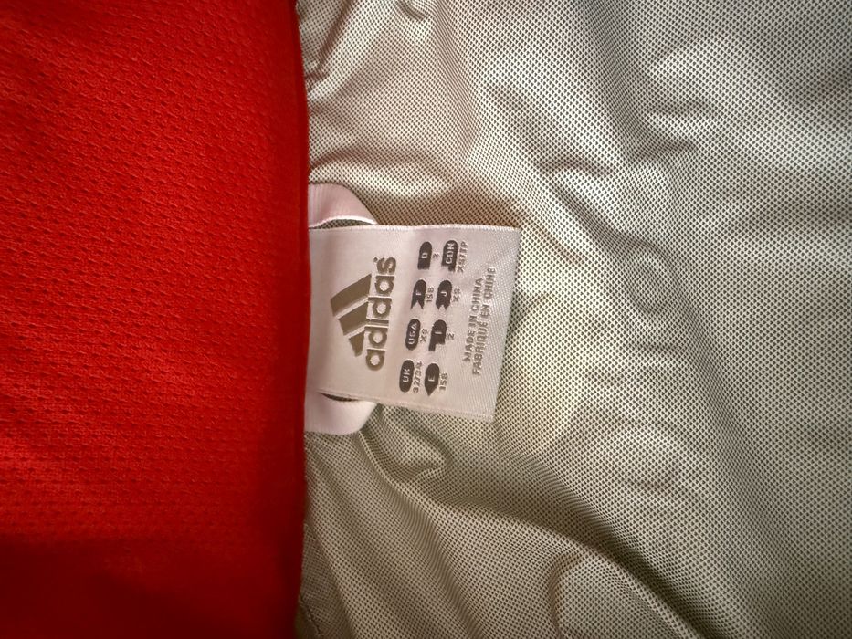 Чоловіча вітровка Adidas