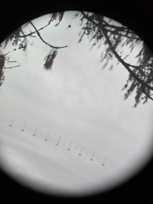 Lornetka Hensoldt Wetzlar 8X30 Dienstgllas Ogumowana z podziałka