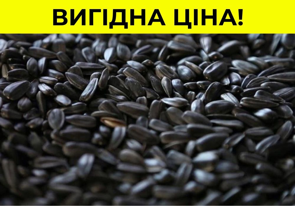 Насіння соняшника ВИГІДНО! Семена подсолнечника, подсолнуха ОПТ
