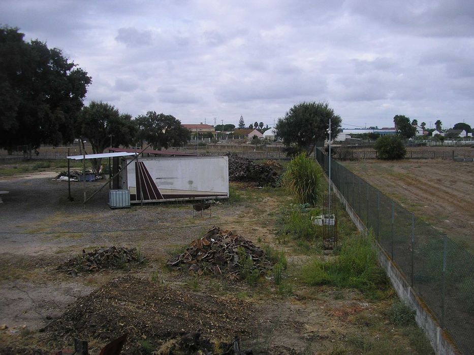 lenhas secas e enxutas