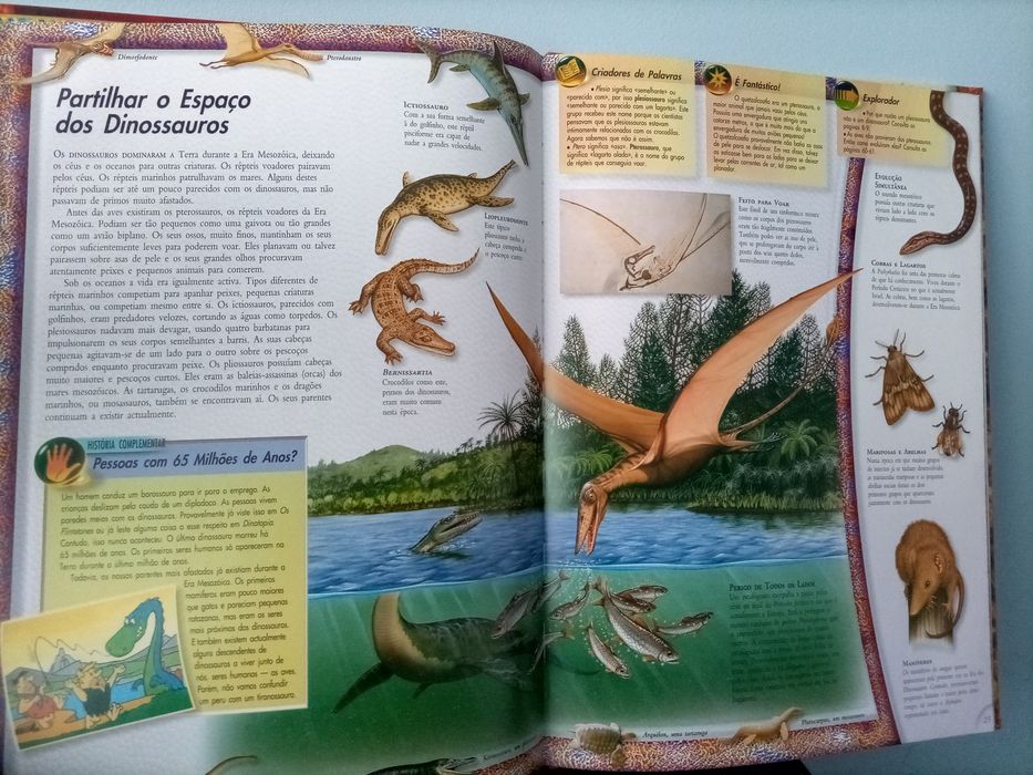 Livro Dinossauros