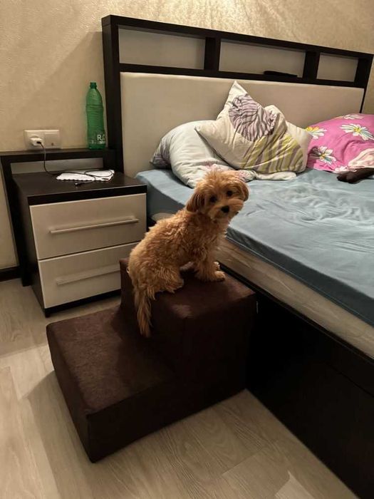 Сходинки приліжкові для тварин