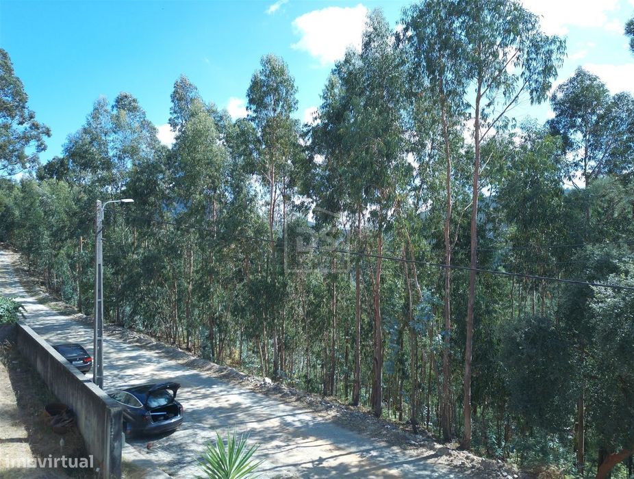 Terreno Para Construção  Venda em Raiva, Pedorido e Paraíso,Castelo de
