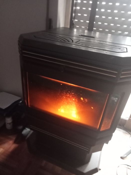 Salamandra combustível - palletes