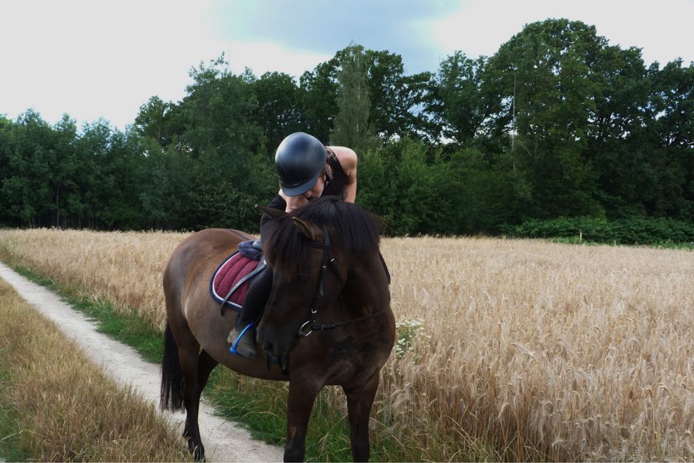 Klacz rasy huculskiej