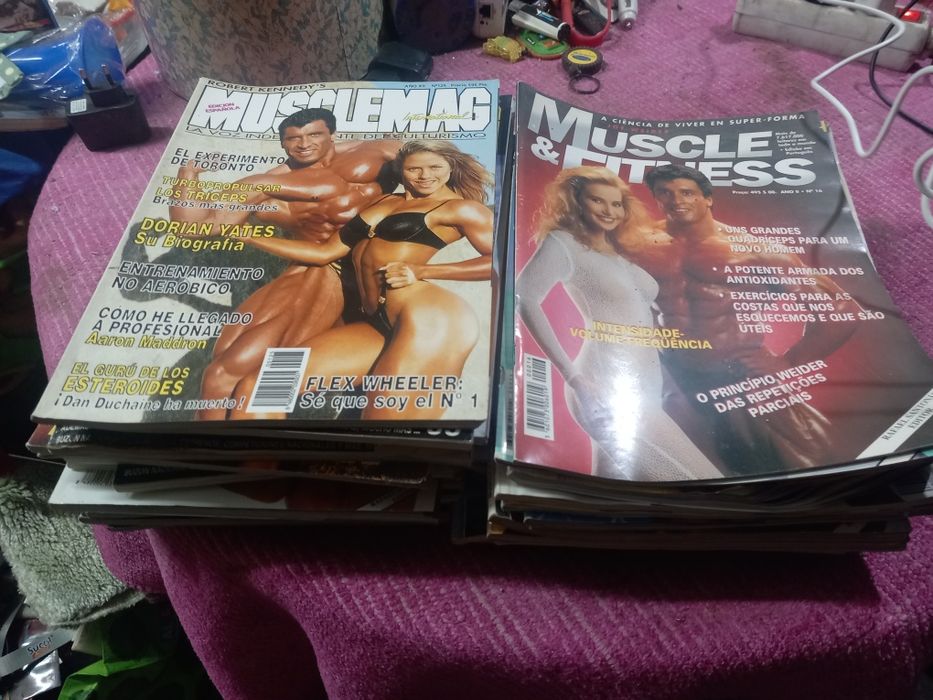 Musculatura  fitness