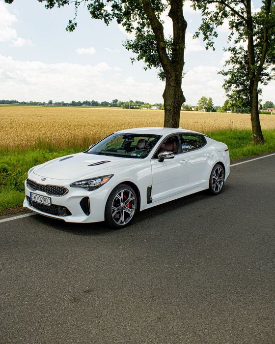 Kia Stinger Idealny stan / Doinwestowana