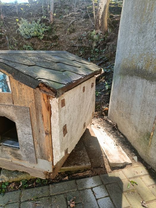 Buda dla psa ocieplana