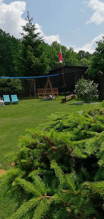 Domek do wynajęcia w Karkonoszach