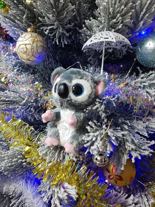 TY Beanie Boos глазастик коала Katy Koala 15 см
