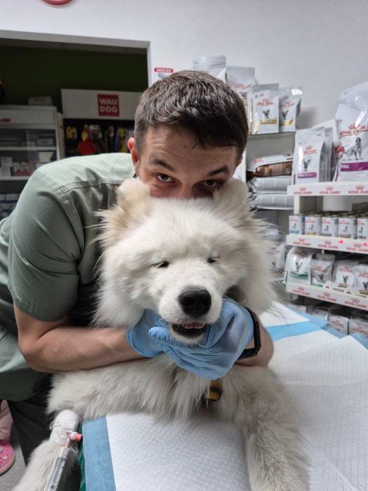 Ветеринар на дім