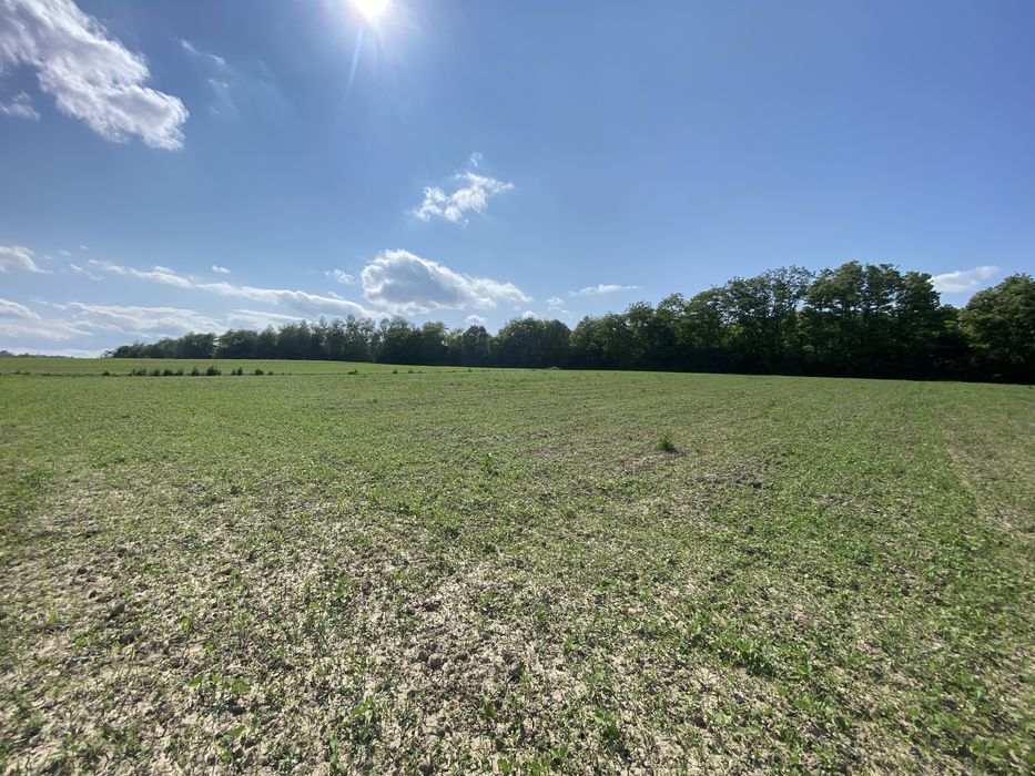 Топова земля, перша лінія, 50соток +