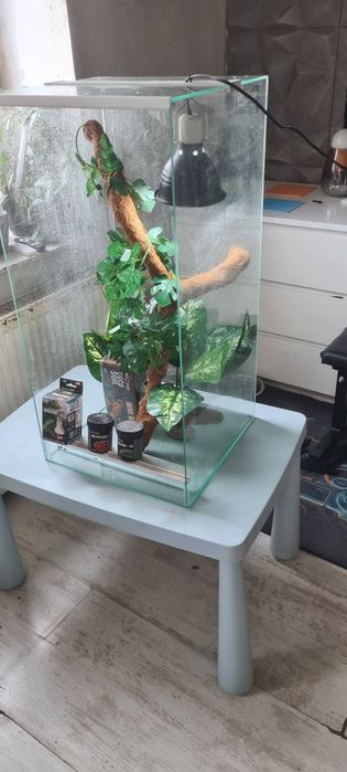 Terrarium 40x40x80
