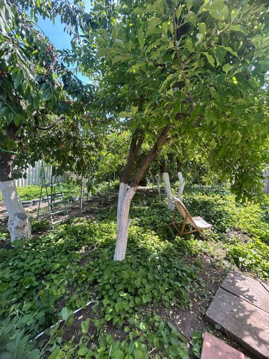 Приватний булинок в Лісках,5-к,6 соток