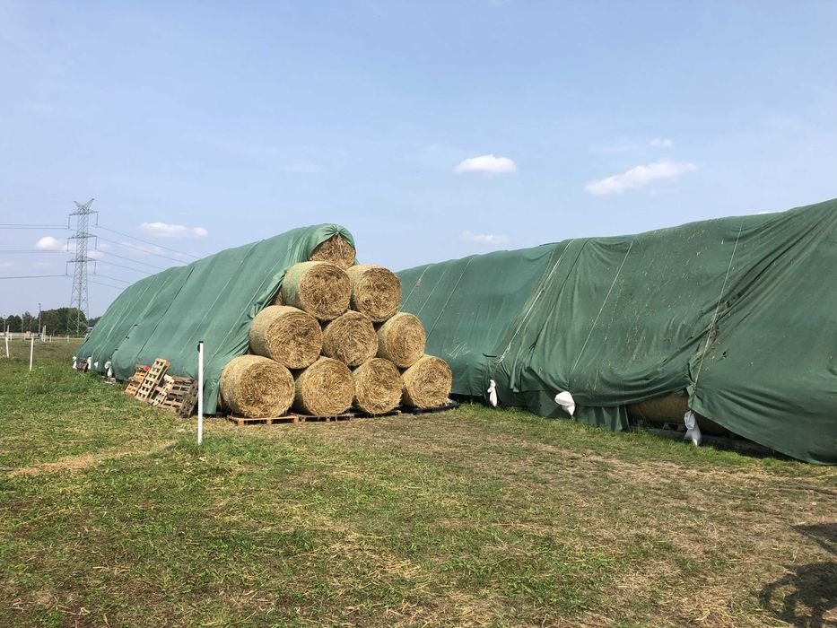 Słoma w Belkach / Balot 120 cm  2025 rok sucha przykryta