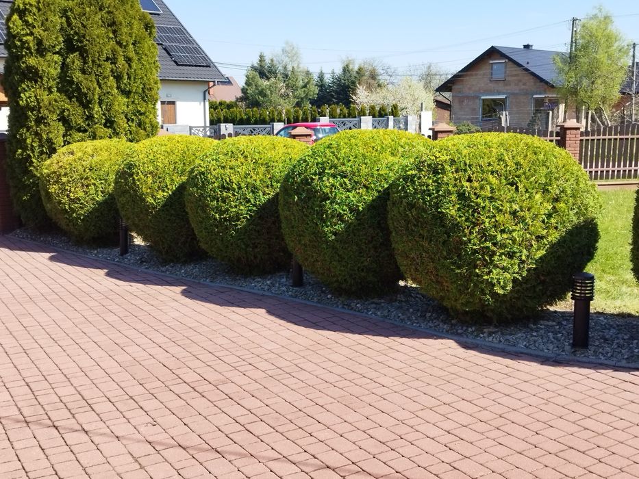 Usługi ogrodnicze