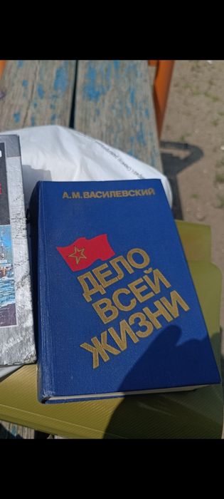 В. Василевский. Дело всей жизни
