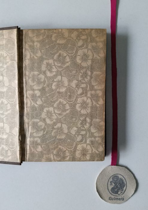 Terra fria, Ferreira de Castro